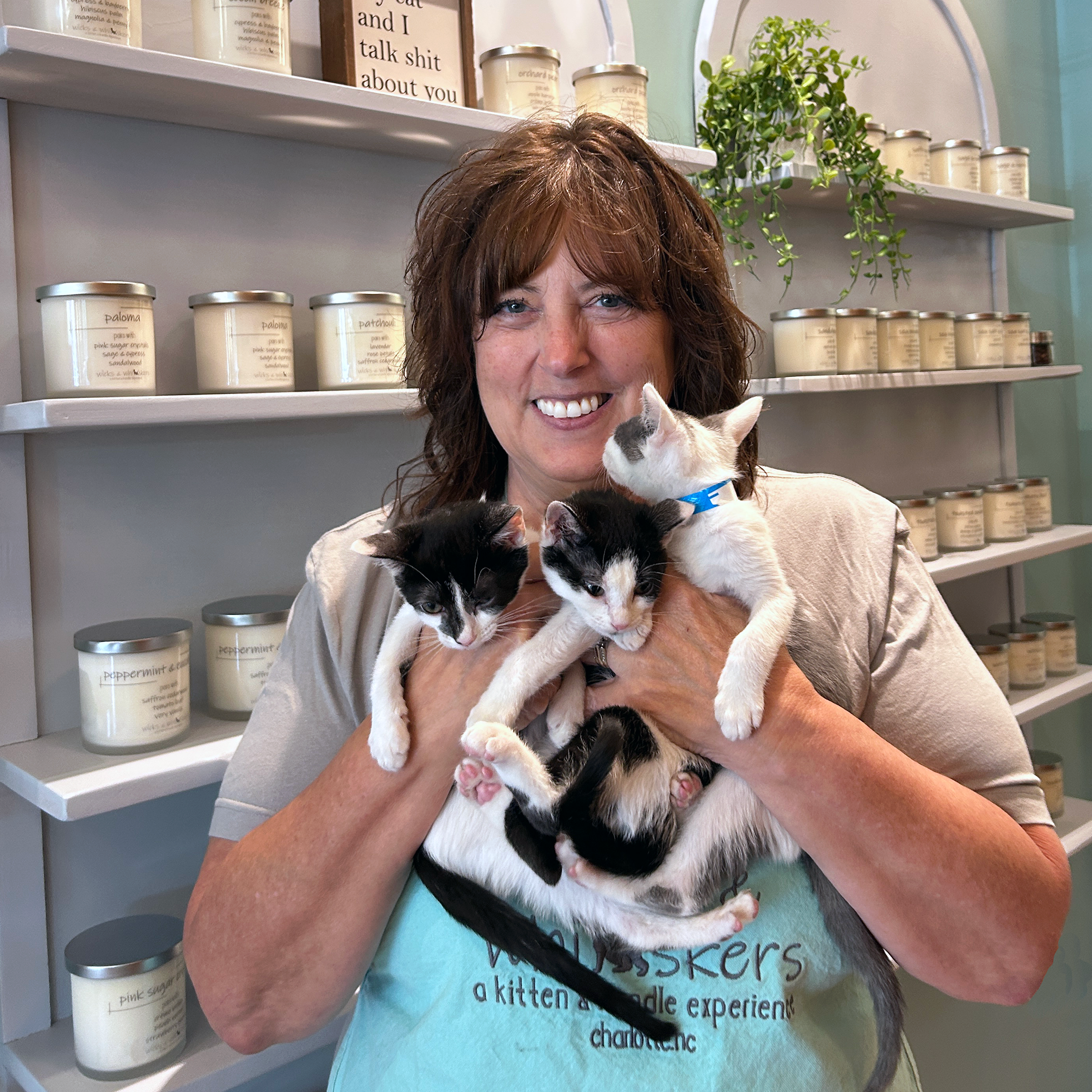 Mindful Morning fragrance oil. Cup of Matcha on a tray with dappled sunlight.